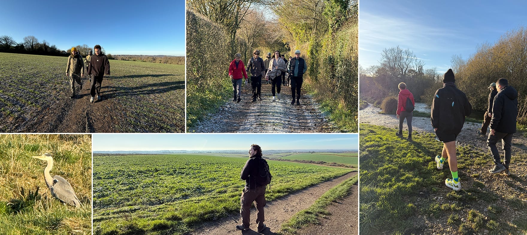 Rooster Reboot: Chapter 2