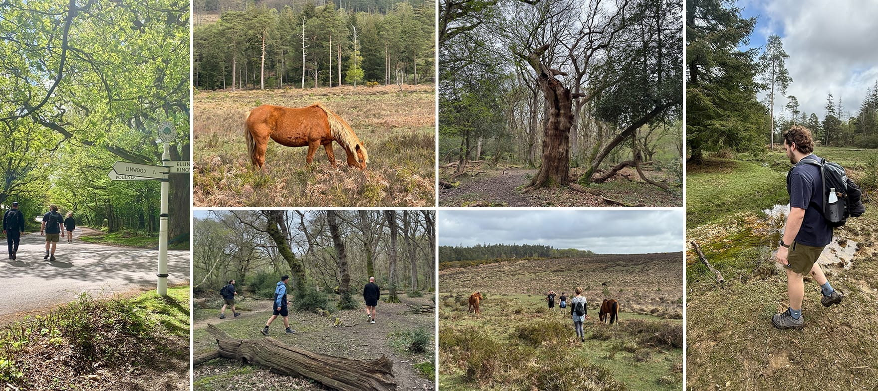Our most wild and adventurous walk yet
